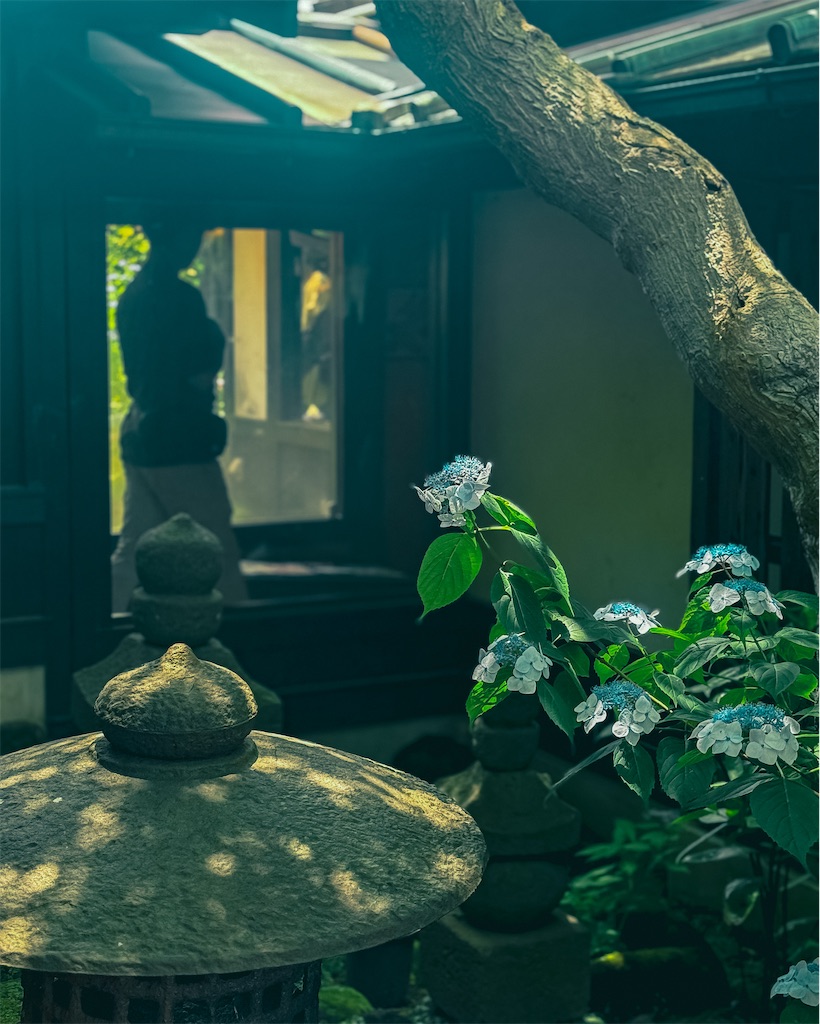 f:id:cobutan:20260630090844j:image