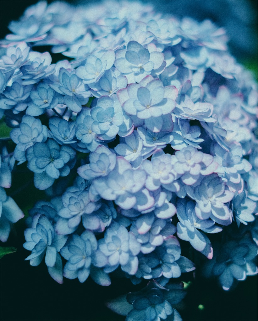 f:id:cobutan:20260630090912j:image