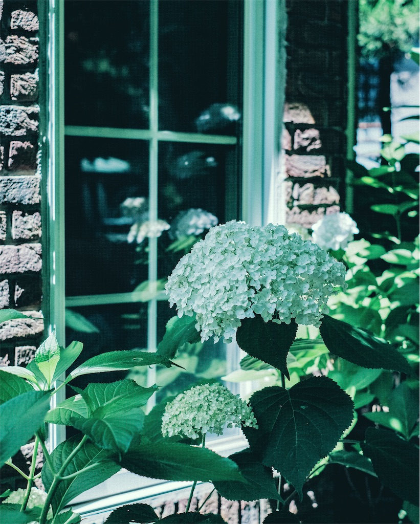 f:id:cobutan:20260701114344j:image