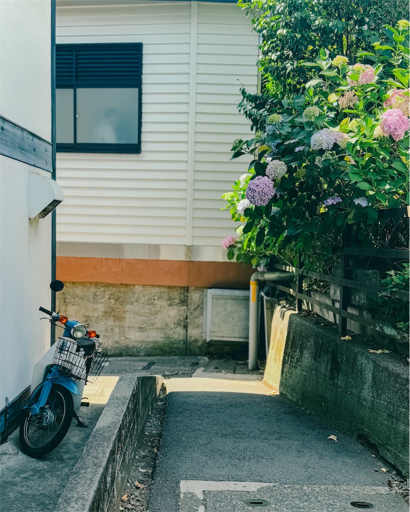f:id:cobutan:20260701114403j:image