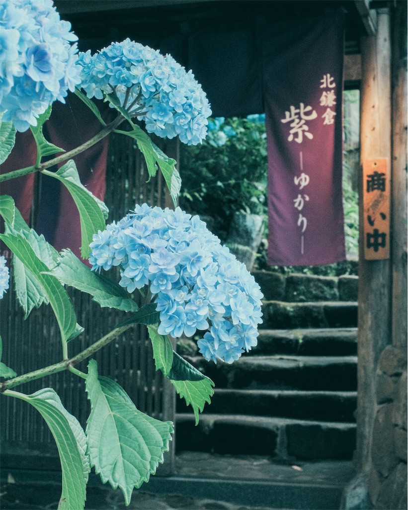 f:id:cobutan:20260701114406j:image