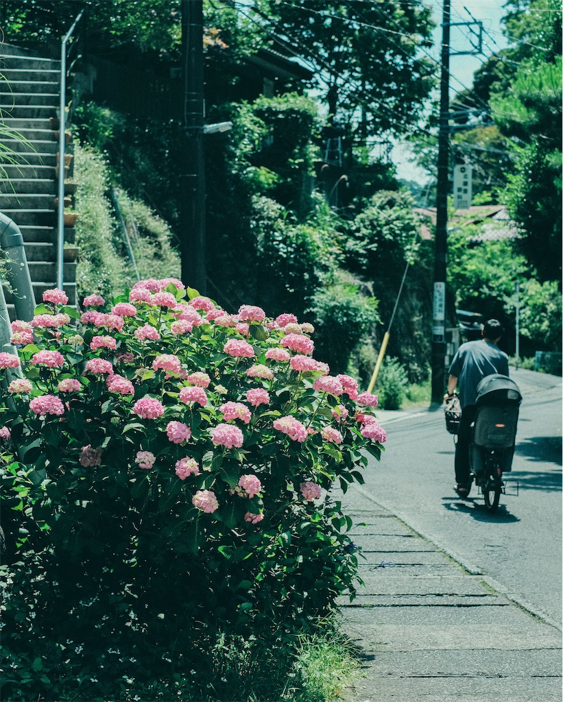 f:id:cobutan:20260702100403j:image