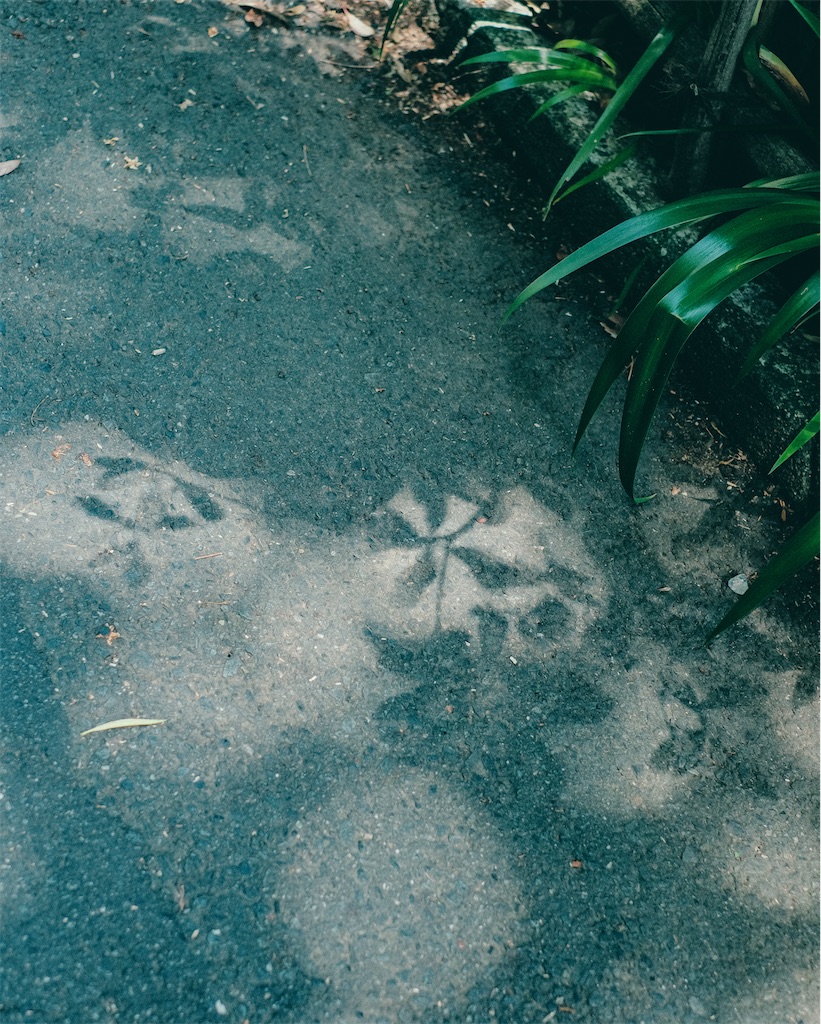 f:id:cobutan:20260702100407j:image