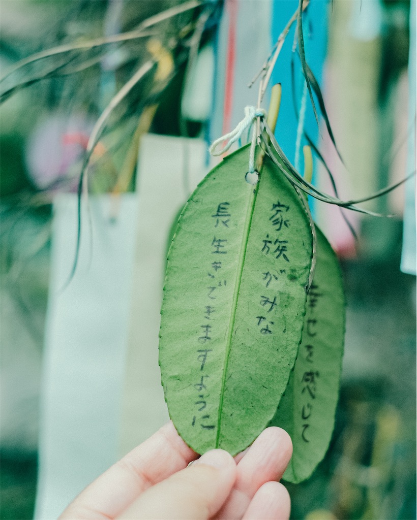 f:id:cobutan:20260707084602j:image