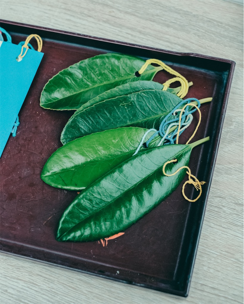 f:id:cobutan:20260707084615j:image