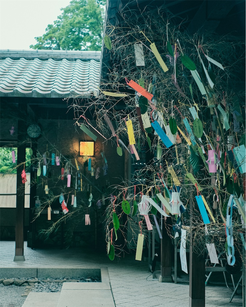 f:id:cobutan:20260707084630j:image