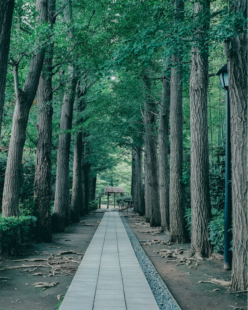 f:id:cobutan:20260708110603j:image