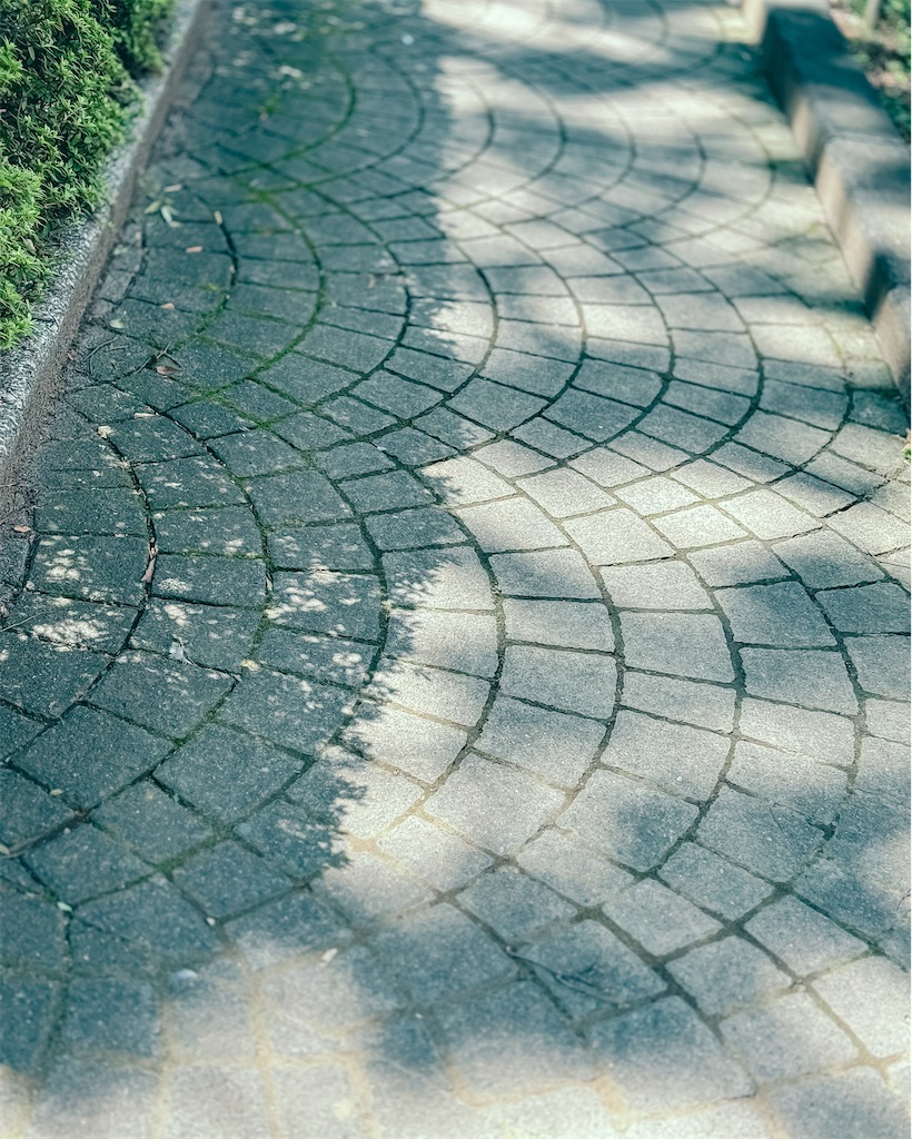 f:id:cobutan:20260826113940j:image
