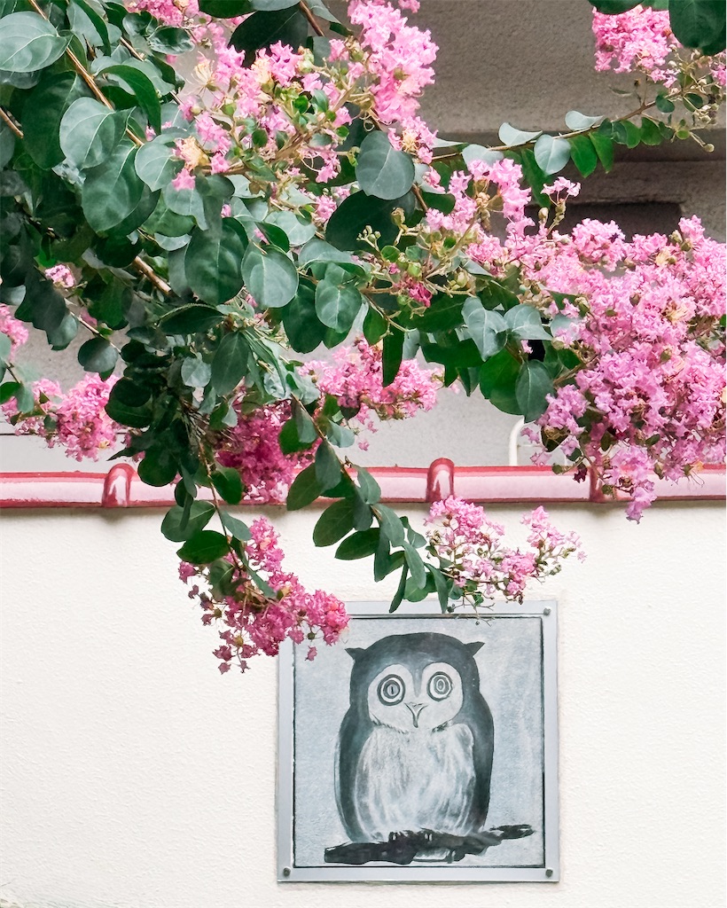 f:id:cobutan:20260830143727j:image