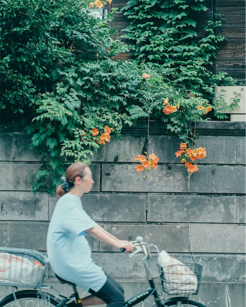f:id:cobutan:20260830143736j:image