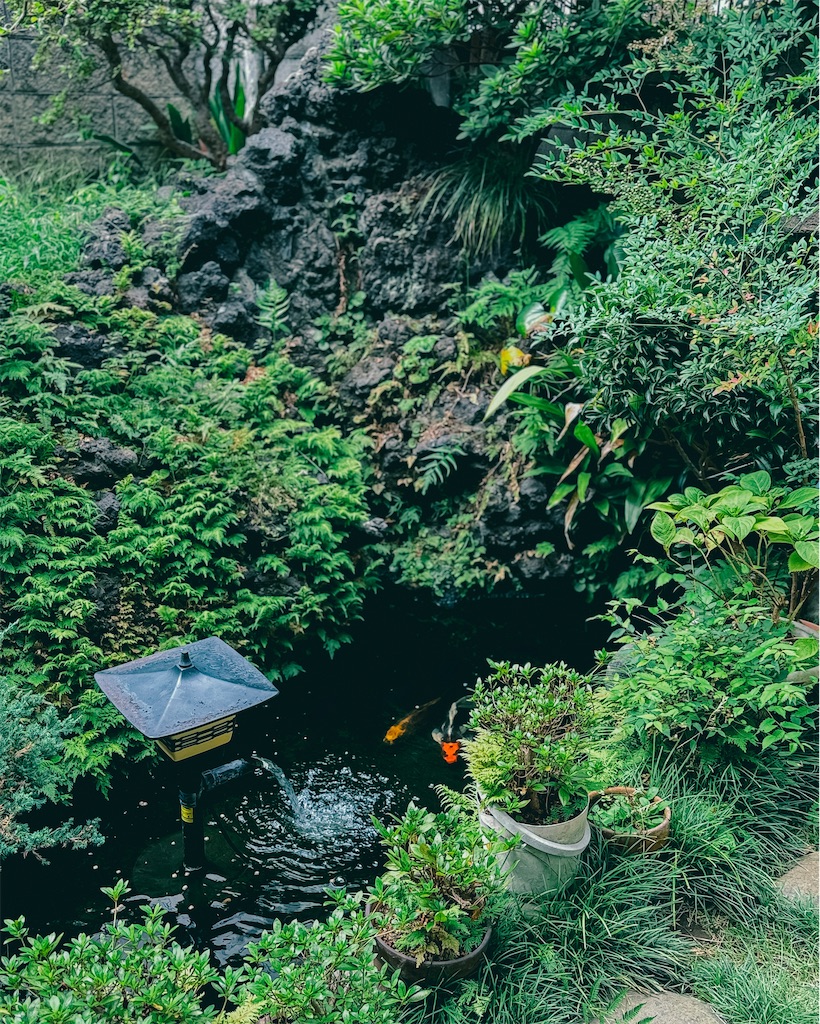 f:id:cobutan:20260906105923j:image