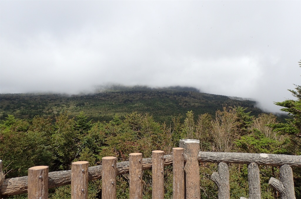 f:id:cocabu:20180917084234j:image