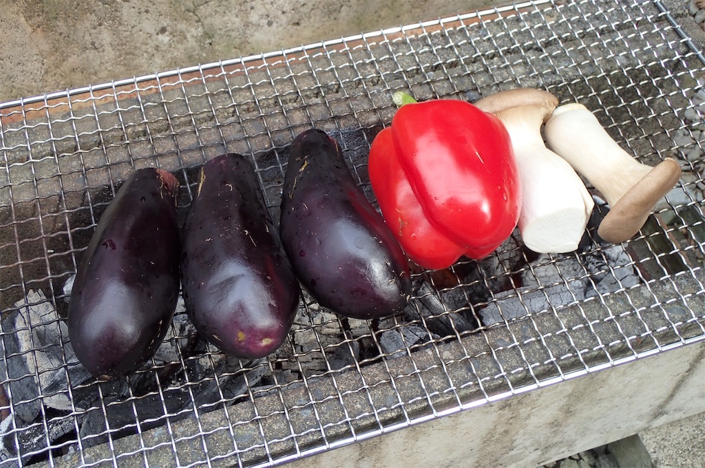 f:id:cocabu:20190531215635j:image