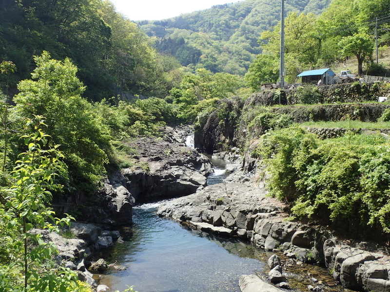 イメージ 6