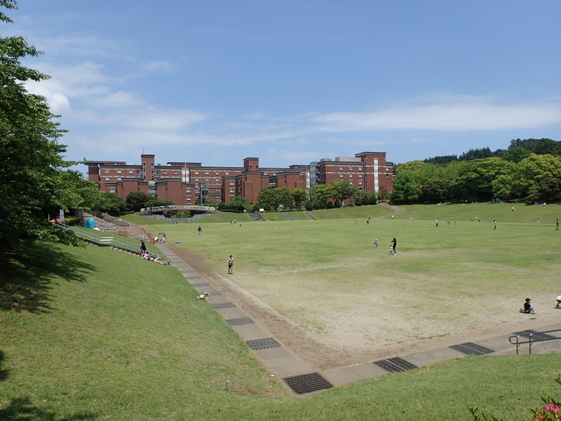 イメージ 7