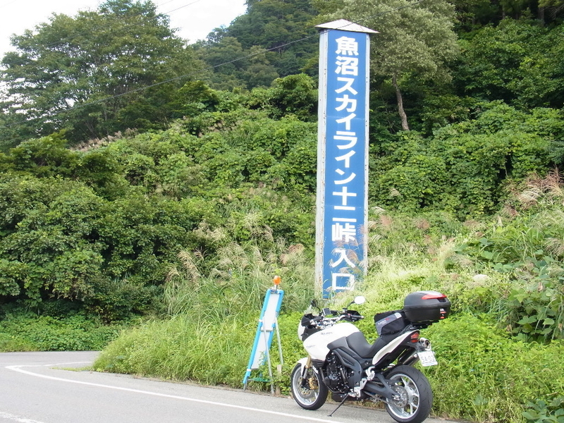 イメージ 5