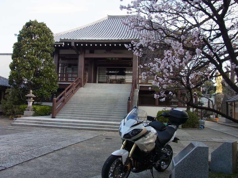 イメージ 2