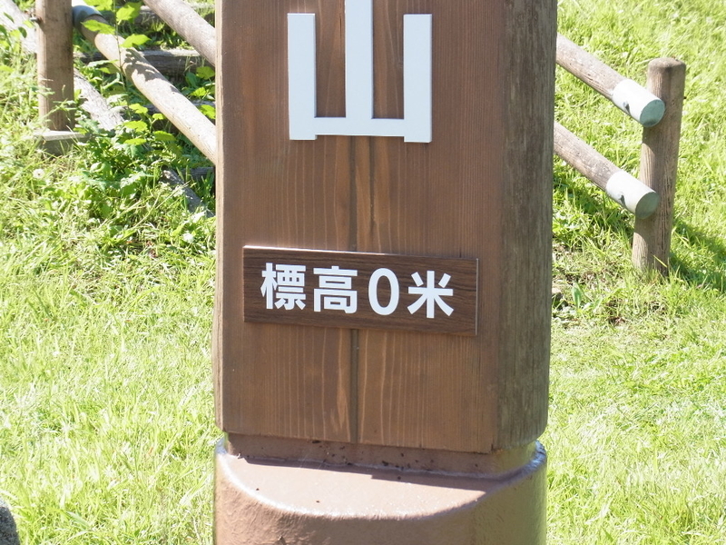 イメージ 7
