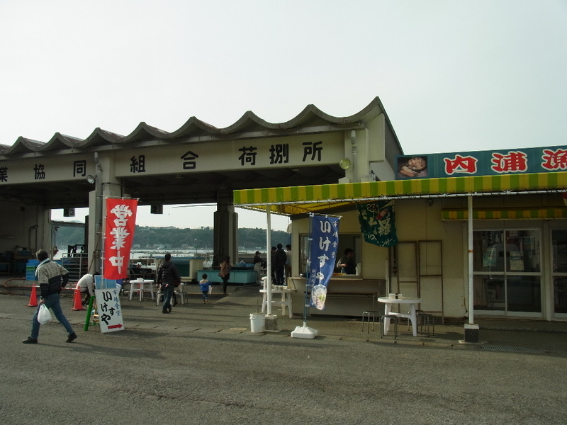 イメージ 11