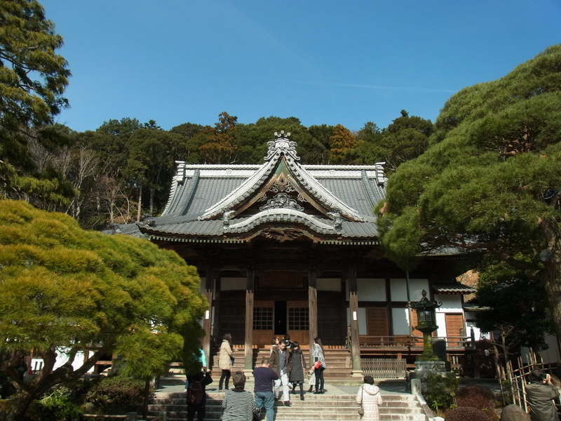イメージ 6
