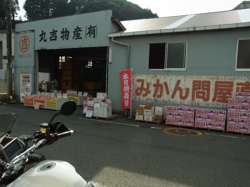 イメージ 7