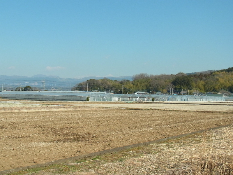 イメージ 6