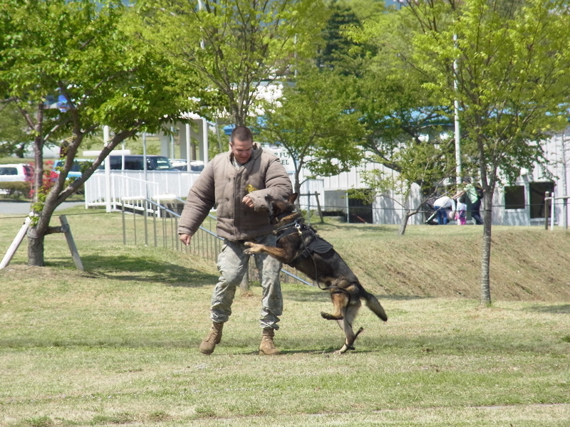 イメージ 6