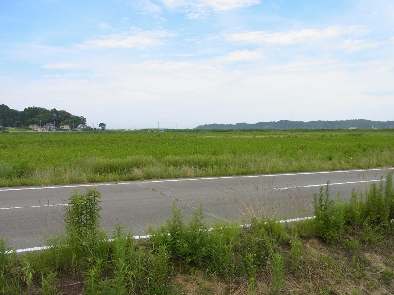 イメージ 6