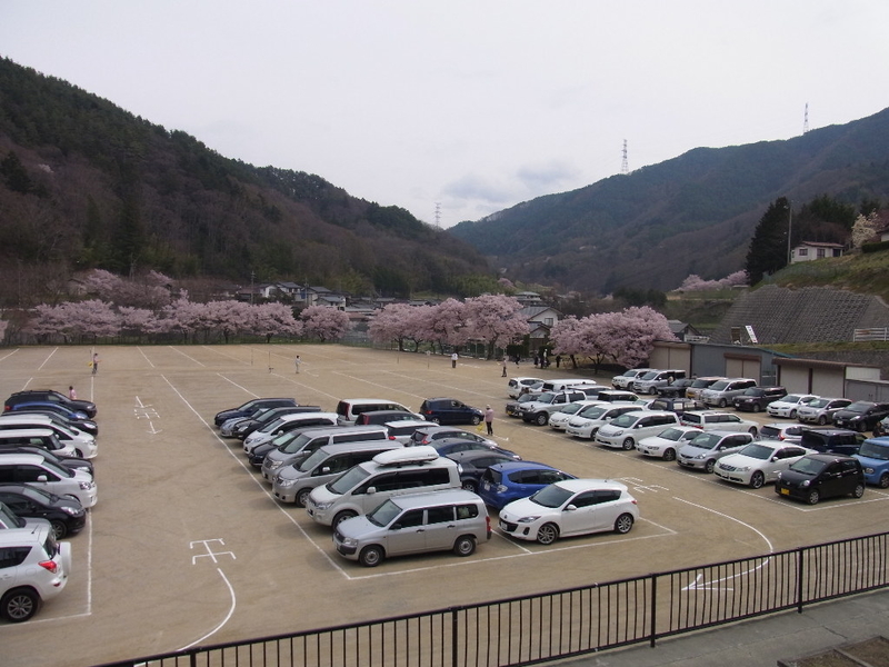 イメージ 6