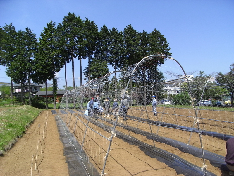 イメージ 4