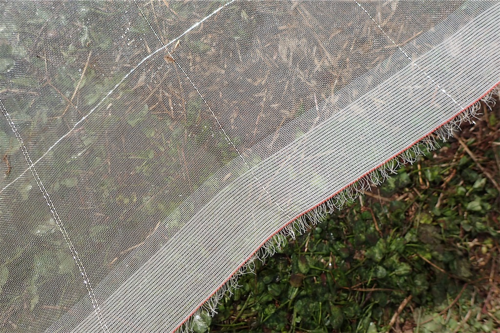 f:id:cocabu:20201125081127j:image