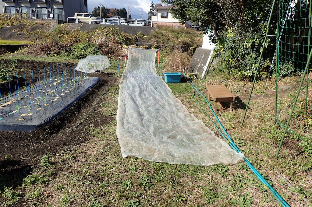 f:id:cocabu:20221201111301j:image