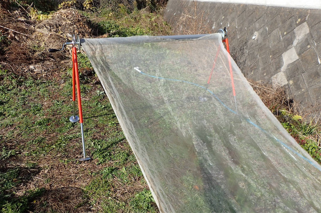 f:id:cocabu:20221201111706j:image