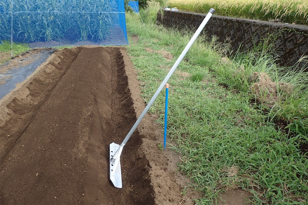 f:id:cocabu:20230907163925j:image