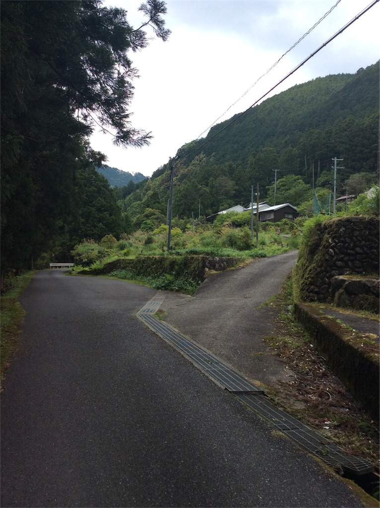 f:id:cocacolaneet:20170522175929j:image f:id:cocacolaneet:20170522175929j:image