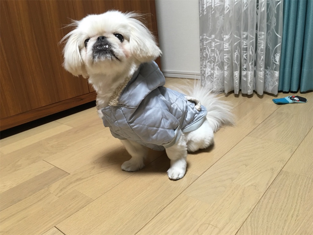 f:id:cocco0209908:20190612161916j:image f:id:cocco0209908:20190612161916j:image