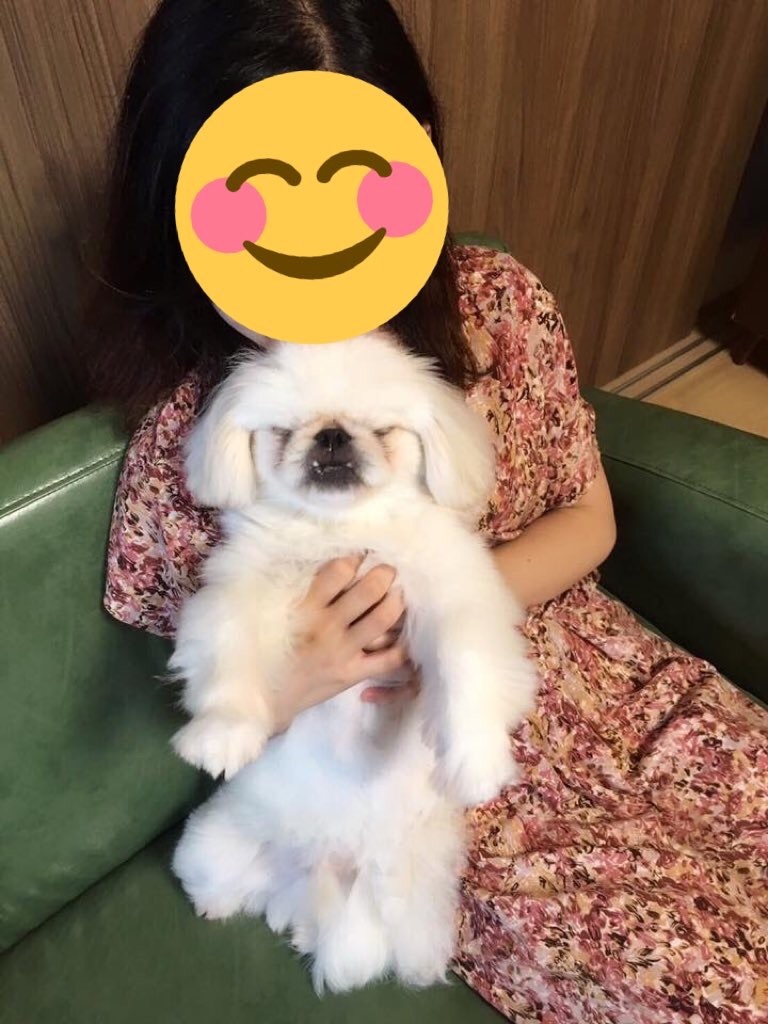 f:id:cocco0209908:20190612162850j:image f:id:cocco0209908:20190612162850j:image