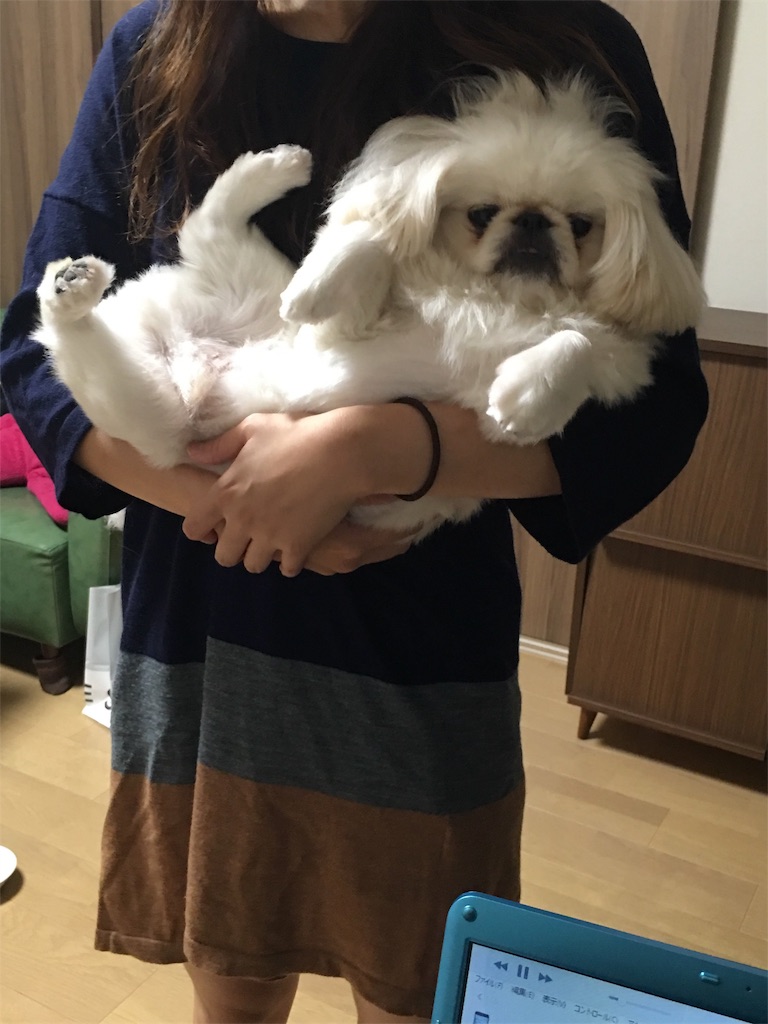 f:id:cocco0209908:20190612163059j:image f:id:cocco0209908:20190612163059j:image