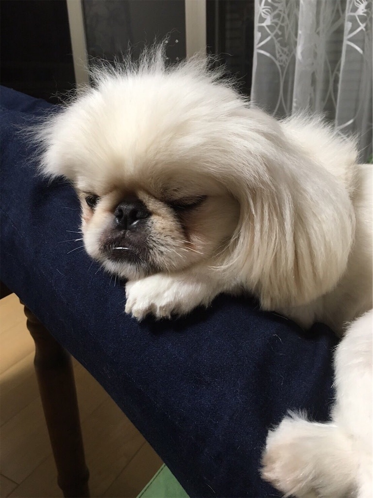 f:id:cocco0209908:20190612163103j:image f:id:cocco0209908:20190612163103j:image