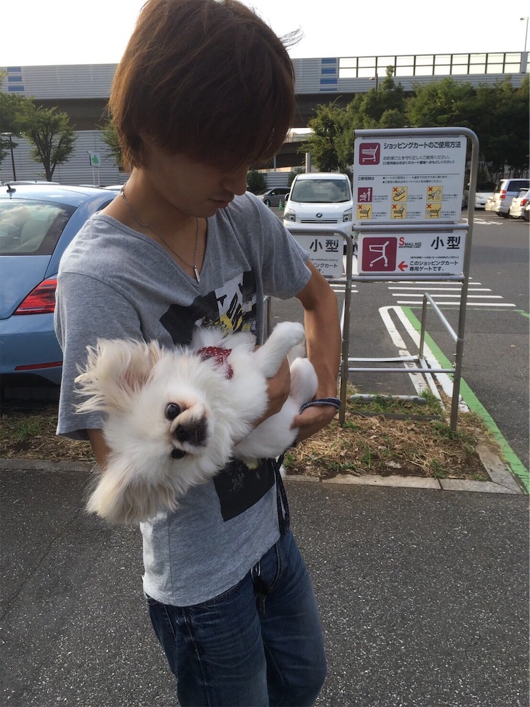 f:id:cocco0209908:20190612163106j:image f:id:cocco0209908:20190612163106j:image