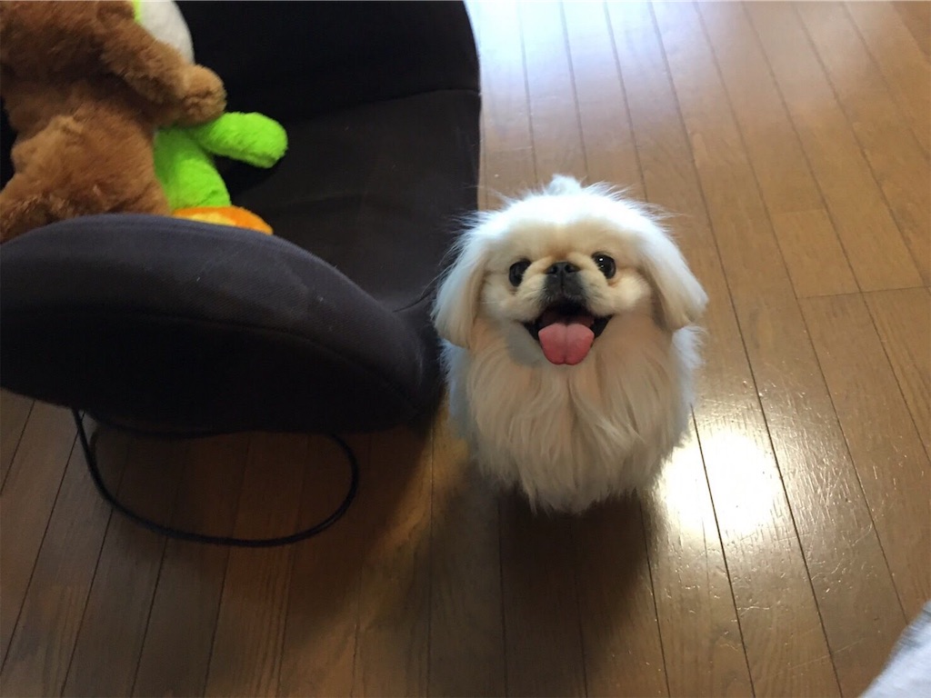 f:id:cocco0209908:20190612163641j:image f:id:cocco0209908:20190612163641j:image