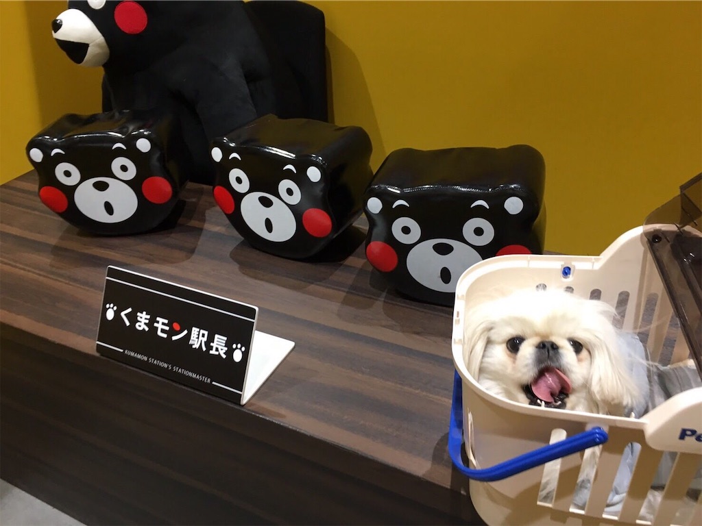 f:id:cocco0209908:20190612163644j:image f:id:cocco0209908:20190612163644j:image