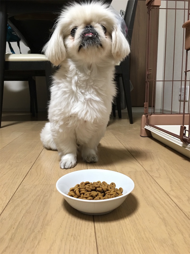 f:id:cocco0209908:20190612163749j:image f:id:cocco0209908:20190612163749j:image