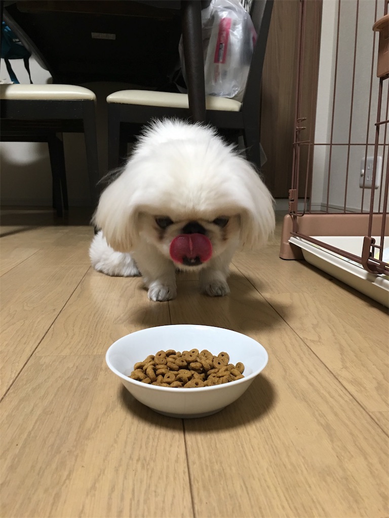 f:id:cocco0209908:20190612163753j:image f:id:cocco0209908:20190612163753j:image
