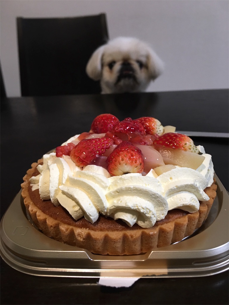 f:id:cocco0209908:20190612183844j:image f:id:cocco0209908:20190612183844j:image