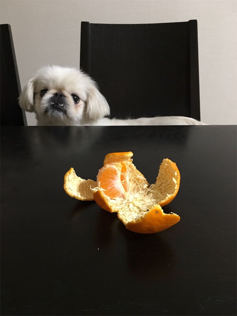 f:id:cocco0209908:20190612184218j:image f:id:cocco0209908:20190612184218j:image