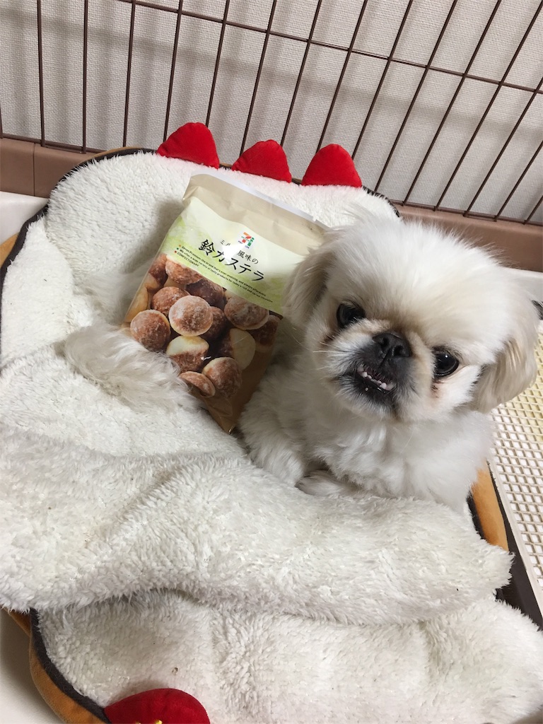 f:id:cocco0209908:20190612184327j:image f:id:cocco0209908:20190612184327j:image