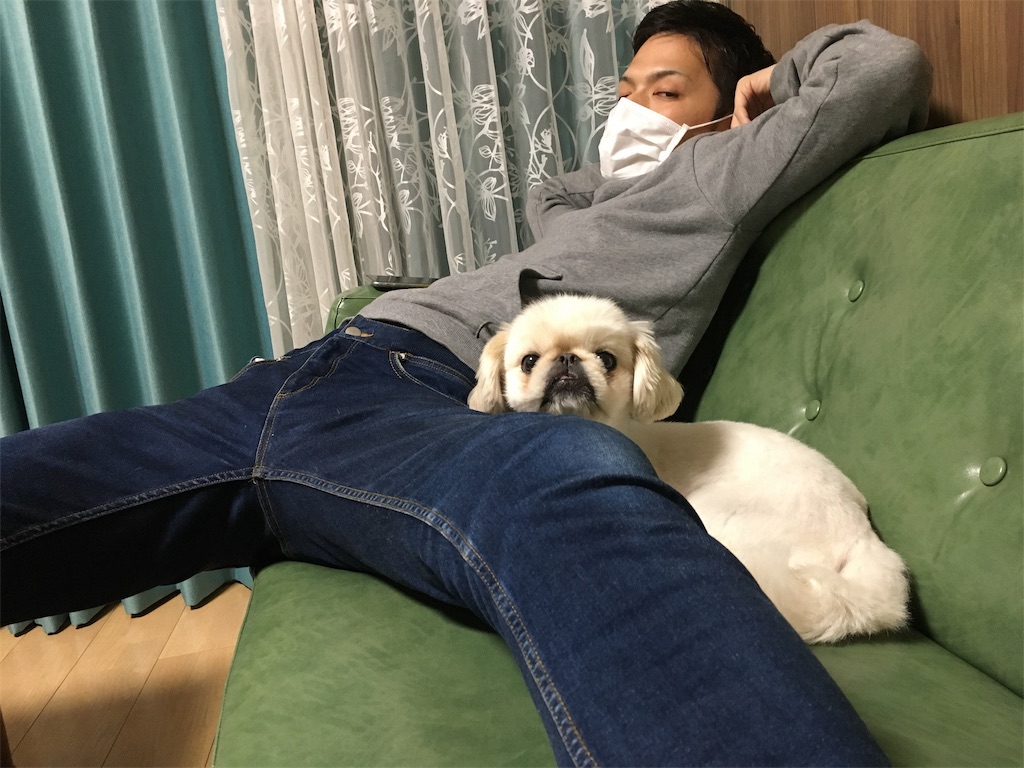 f:id:cocco0209908:20190612184331j:image f:id:cocco0209908:20190612184331j:image