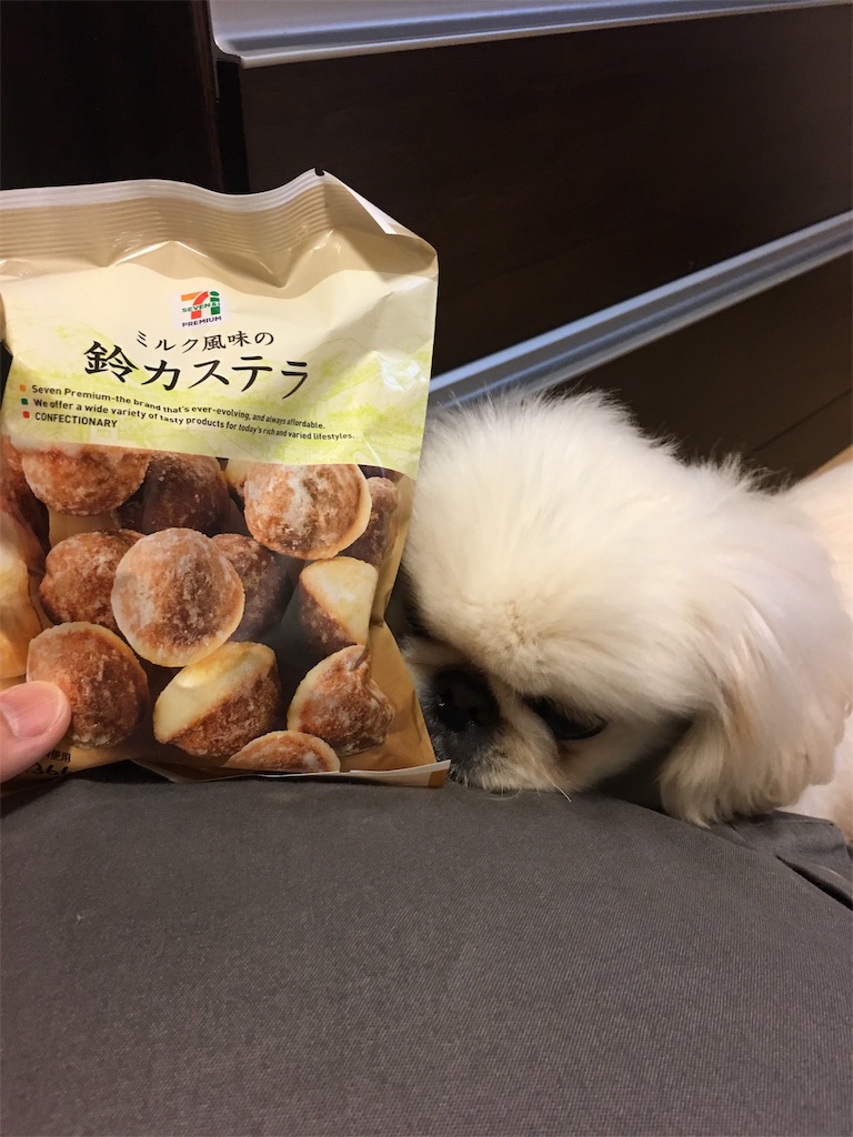 f:id:cocco0209908:20190612184401j:image f:id:cocco0209908:20190612184401j:image