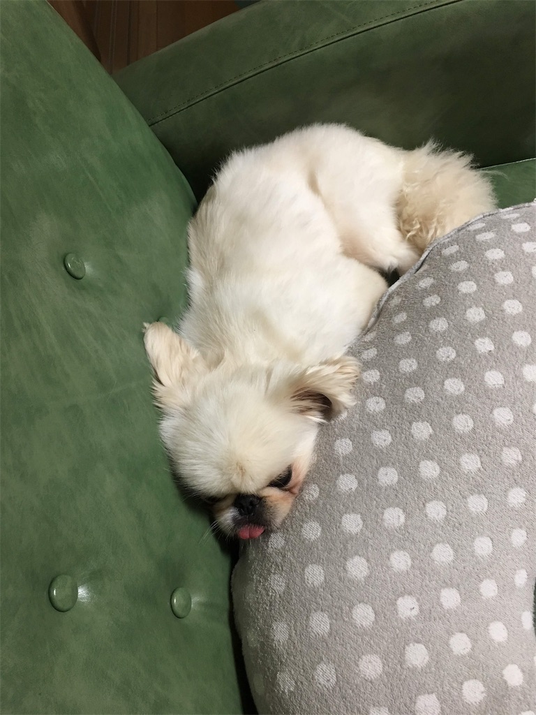 f:id:cocco0209908:20190612190029j:image f:id:cocco0209908:20190612190029j:image